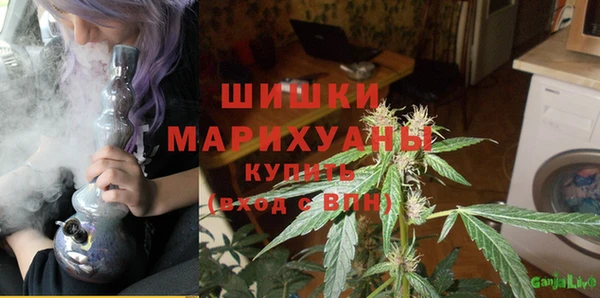 дурь Алзамай