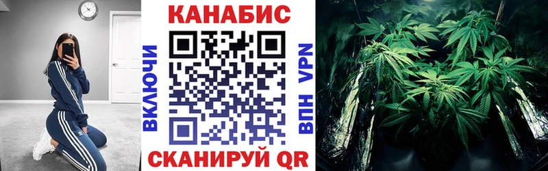 Бошки марихуана конопля  как найти   гидра как зайти  Омутнинск 